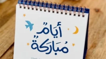 كلمات دعاء اليوم الثامن من رمضان لطلب الرحمة ومرافقة عباد الله الأبرار